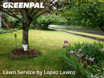 Lawn Cutting nearby Puyallup, WA, 