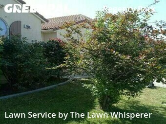 Lawn Mowing nearby Sacramento, CA, 