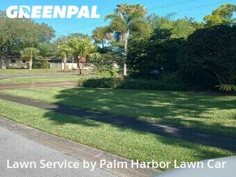 Grass Cutting nearby Palm Harbor, FL, 