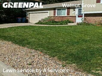 Grass Cutting nearby Westminster, CO, 