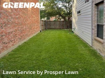 Lawn Service nearby Plano, FL, 