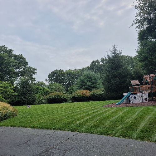 Deesign Landscape Lawn Care Services in Ellendale, DE