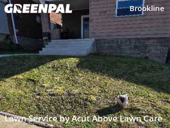 Backyard Mowing in Pittsburgh, 15226, Lawn Services by Acut Above Lawn Care, work completed in Nov , 2025