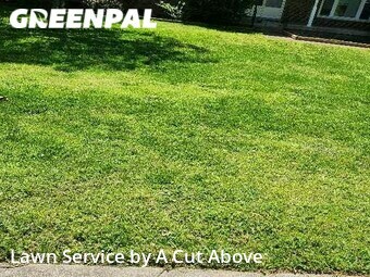 Lawn Mowing Service nearby Hendersonville, TN, 