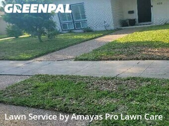 Lawn Cut nearby Corpus Christi, TX, 