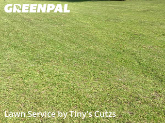 Lawn Service nearby Valdosta, GA, 