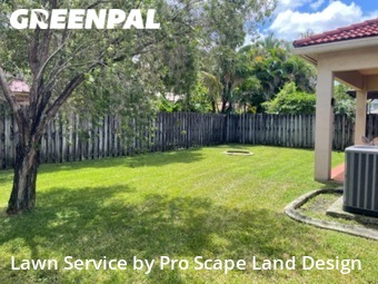 Grass Cut nearby Davie, FL, 