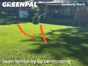 Grass Cutting nearby Charlotte, NC, 