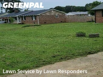Grass Cutting nearby Cartersville, GA, 