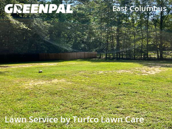 Lawn Mow nearby Columbus, AL, 