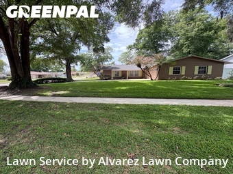 Lawn Servicein Altamonte Springs,32714,Lawn Cut by Alvarez Lawn Company, work completed in Jun , 2026