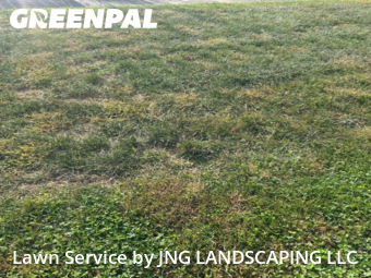 Lawn Mowing Service nearby Newark, DE, 