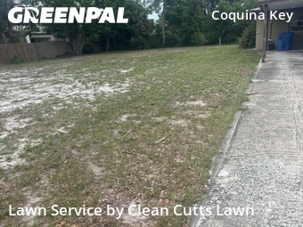 Lawn Care nearby Saint Petersburg, FL, 