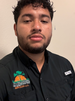 affordable-grass-cutting-businesses-in-Celebration-FL