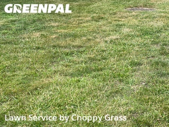 Yard Cutting nearby Verona, NJ, 