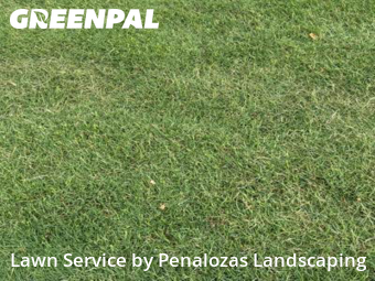 Lawn Cut nearby Suwanee, GA, 