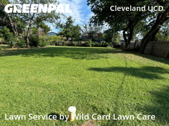 Yard Mowing nearby Oklahoma City, OK, 