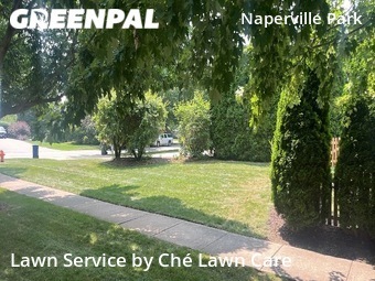 Yard Cutting nearby Naperville, IL, 