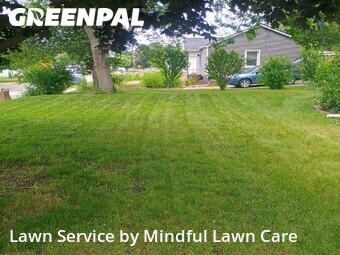 Grass Cut nearby Ypsilanti, MI, 