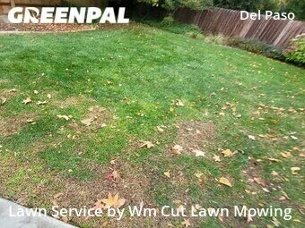 Lawn Mowing Service nearby Sacramento, CA, 