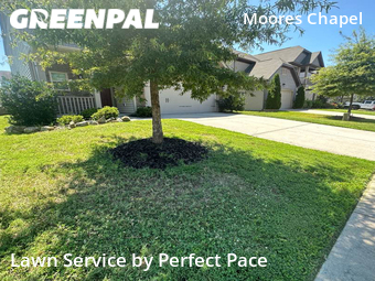 Lawn Service nearby Charlotte, NC, 