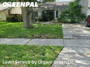 Grass Cutting nearby Brandon, FL, 