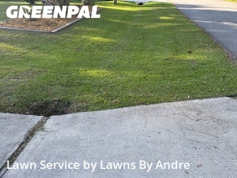 Lawn Cutting nearby Palm Coast, FL, 