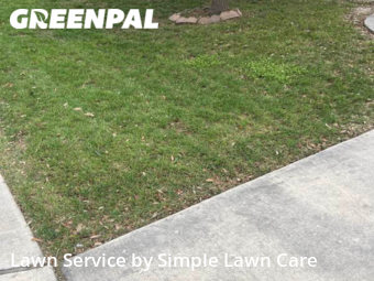 Lawn Cut nearby Cibolo, TX, 