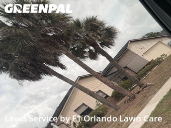 Lawn Cut nearby Orlando, FL, 