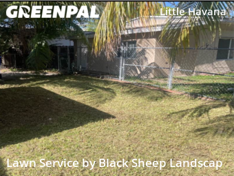 Lawn Cut nearby Miami, FL, 