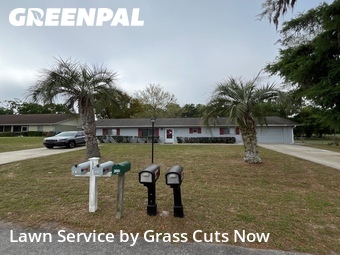 Yard Cutting nearby Belleview, FL, 
