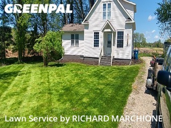 Grass Cutting nearby Byron Center, MI, 