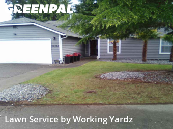 Yard Upkeep in Federal Way, 98023, Yard Upkeep by Working Yardz, work completed in Aug , 2025