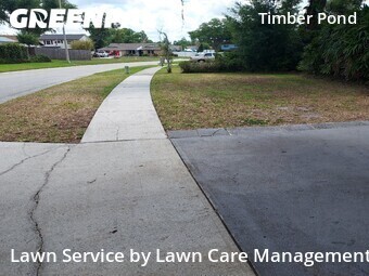 Lawn Mowing Servicein Brandon,33510,Grass Cutting by Lawn Care Management, work completed in Jun , 2026