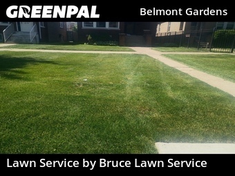 Grass Cut nearby Chicago, IL, 