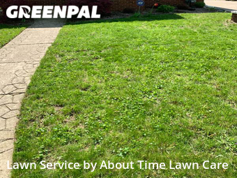 Lawn Care Service nearby Detroit, MI, 