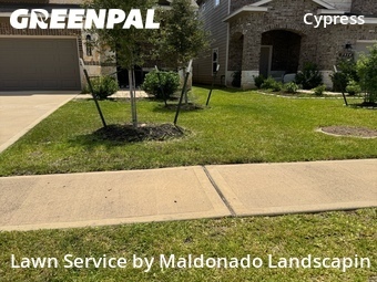 Yard Mowing nearby Harris County, TX, 