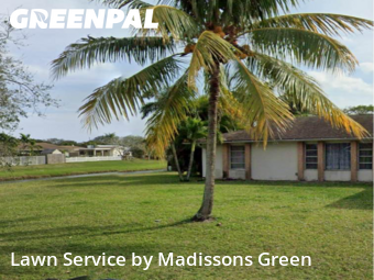 Yard Work in Palm Beach Gardens, 33410, Yard Mowing by Madissons Green, work completed in Nov , 2025