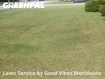 Yard Upkeep in Albany, 31705, Yard Grooming by Good Vibes Worldwide, work completed in Nov , 2025