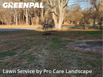 Grass Care in Concord, 28027, Yard Grooming by Pro Care Landscape , work completed in Dec , 2025
