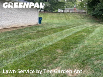 Lawn Mow nearby Chesterfield, MO, 