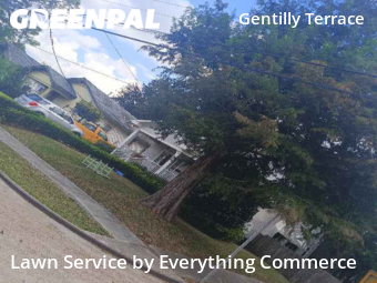 Grass Cut nearby New Orleans, CO, 