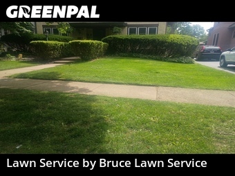 Lawn mowed in Riverside, 60546