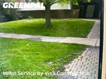 Lawn Mow nearby Bolingbrook, IL, 