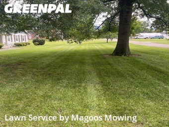 Lawn mowed in Kingsport, 37660