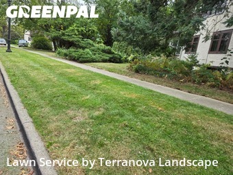 Yard Mowingin Aurora,60505,Yard Mowing by Terranova Landscape, work completed in Nov , 2025