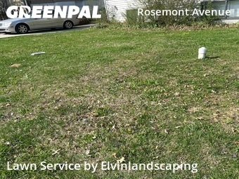 Yard Cutting nearby Baltimore, MD, 