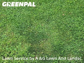 Yard Cutting nearby Liberty Township, OH, 