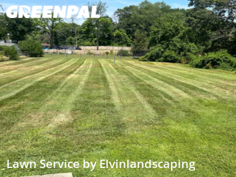 Yard Cutting nearby Rosedale, MD, 