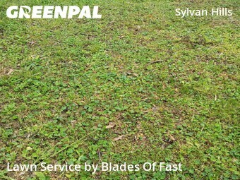 Yard Mowing nearby Atlanta, GA, 